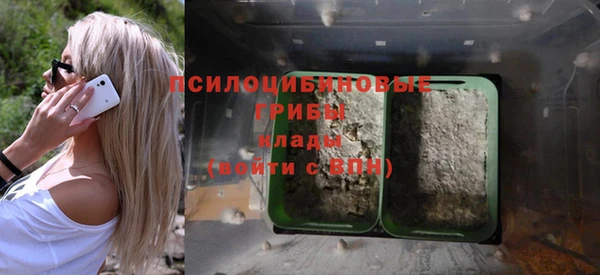 дурь Липки